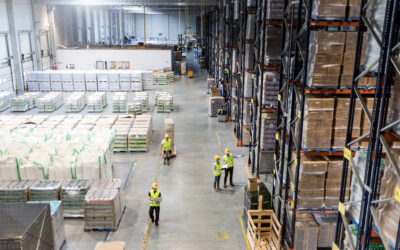 How to Choose the Right Forklift for Your Business: A Guide for Every Industry