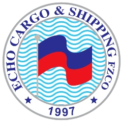 ECHO CARGO AND SHIPPING LLC